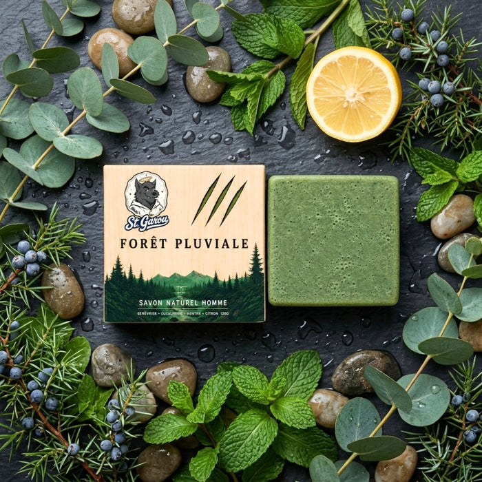 Forêt Pluviale