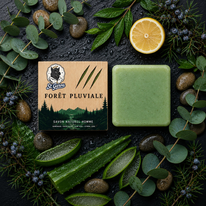 Forêt Pluviale
