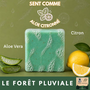 Savon - Forêt Pluviale 🍋